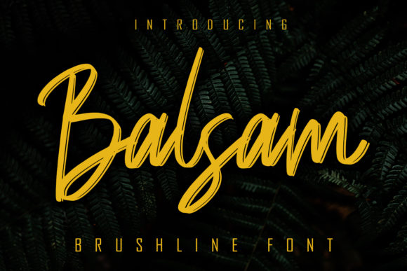 Balsam Font: A Simple Way to Elevate Your Brand Visuals