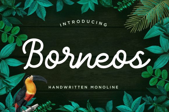 Borneos: A Handwritten Font That Elevates Your Web Design