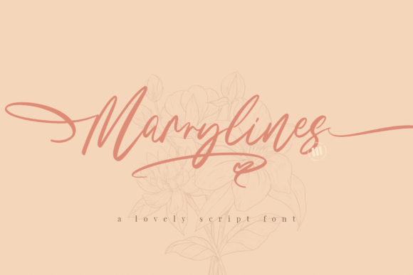 Marrylines Font Review: Elevating Campaigns with Elegance