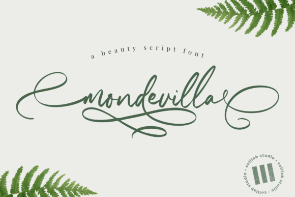 Mondevilla Font: A Smooth Script for Strong Campaign Headlines