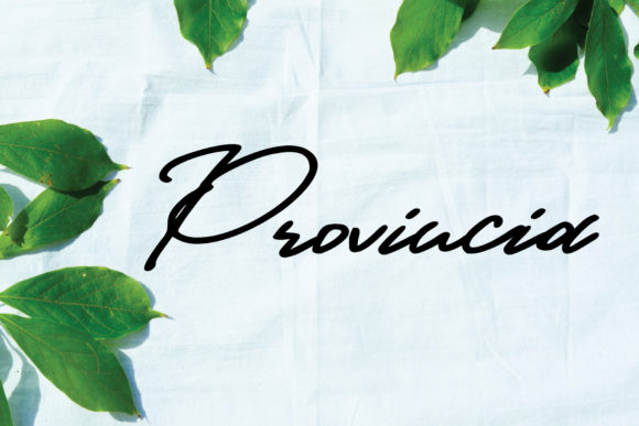 Provincia: A Handwritten Typeface for Editorial Elegance