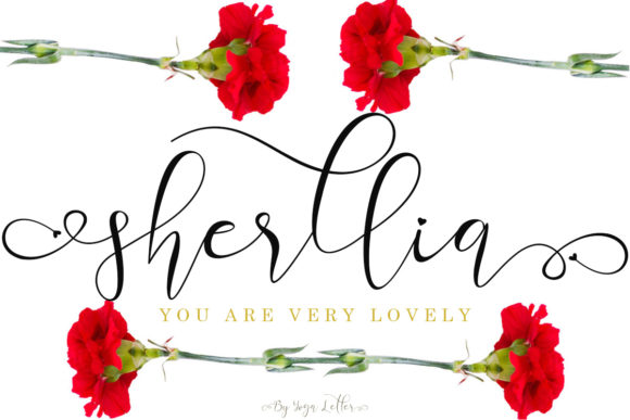 Sherllia Font Review: A Versatile Typeface for Campaign Design