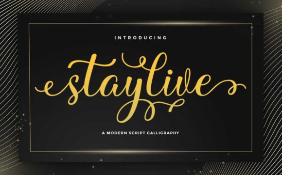Stay Live Font: A Beautiful Script for Digital Design